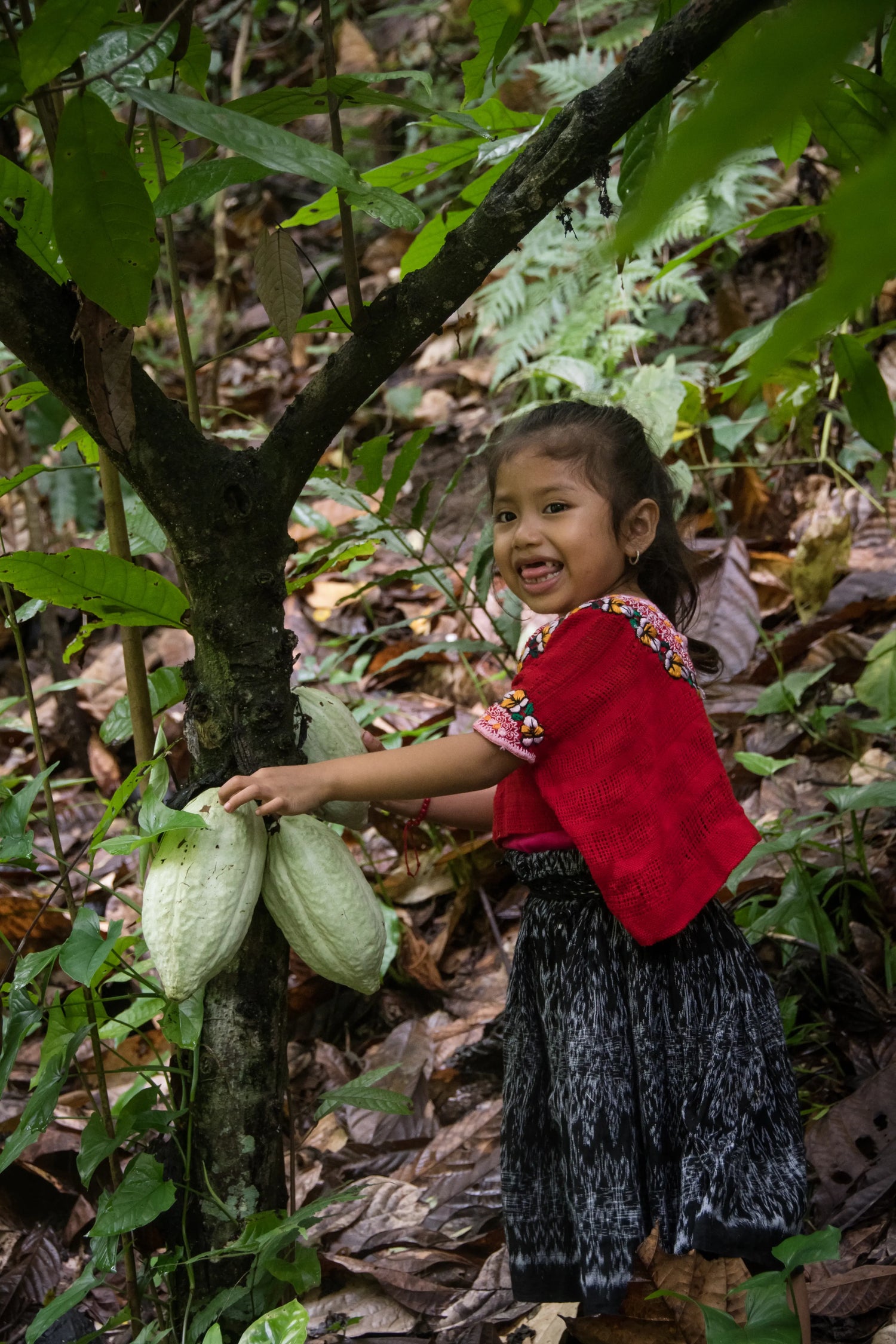 A smiling indigenous mayan girl in the jungle next to a cacao tree